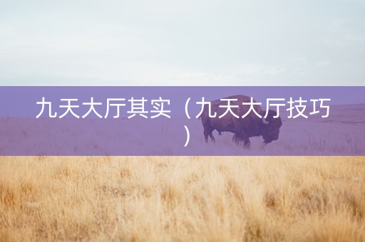 九天大厅其实（九天大厅技巧）