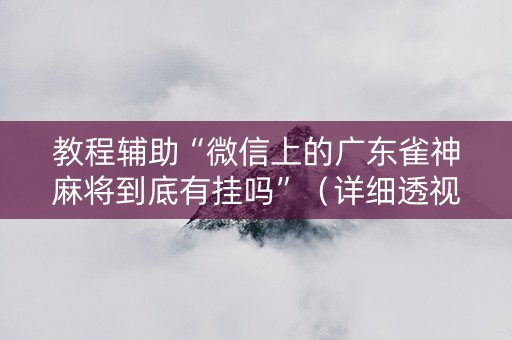 教程辅助“微信上的广东雀神麻将到底有挂吗”（详细透视教程）-哔哩哔哩