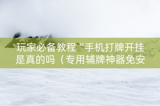 玩家必备教程“手机打牌开挂是真的吗（专用辅牌神器免安装）