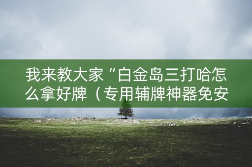 我来教大家“白金岛三打哈怎么拿好牌（专用辅牌神器免安装）
