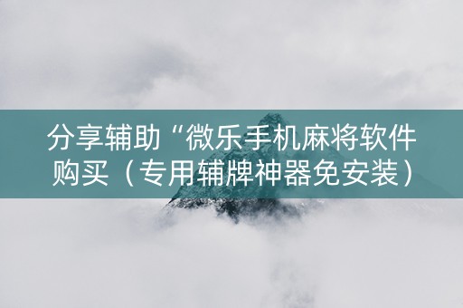 分享辅助“微乐手机麻将软件购买（专用辅牌神器免安装）