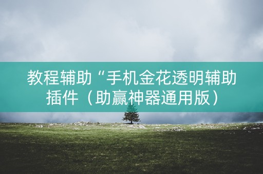 教程辅助“手机金花透明辅助插件（助赢神器通用版）
