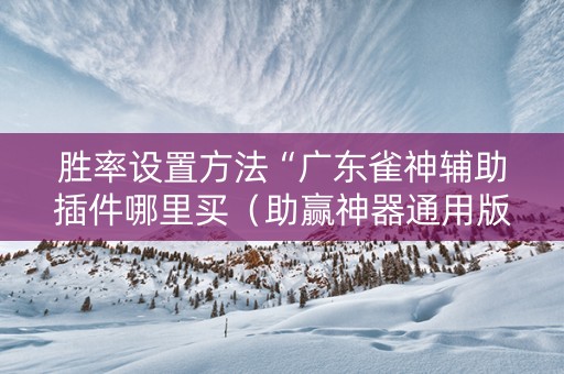 胜率设置方法“广东雀神辅助插件哪里买（助赢神器通用版）