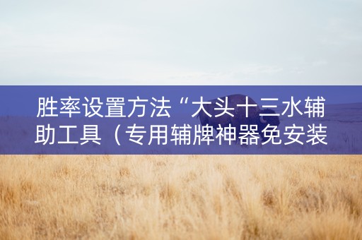 胜率设置方法“大头十三水辅助工具（专用辅牌神器免安装）