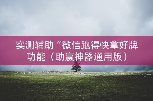 实测辅助“微信跑得快拿好牌功能（助赢神器通用版）