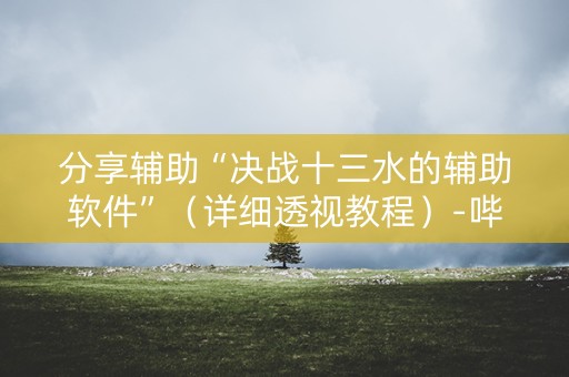 分享辅助“决战十三水的辅助软件”（详细透视教程）-哔哩哔哩