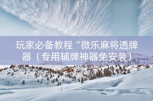 玩家必备教程“微乐麻将透牌器（专用辅牌神器免安装）