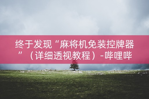 终于发现“麻将机免装控牌器”（详细透视教程）-哔哩哔哩