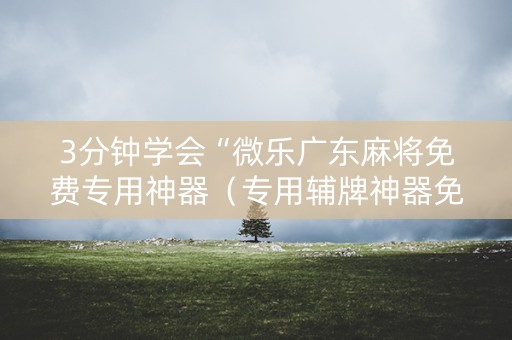 3分钟学会“微乐广东麻将免费专用神器（专用辅牌神器免安装）