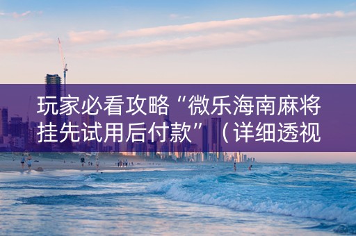 玩家必看攻略“微乐海南麻将挂先试用后付款”（详细透视教程）-哔哩哔哩