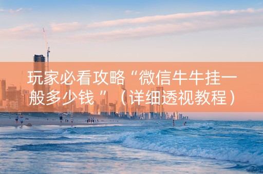 玩家必看攻略“微信牛牛挂一般多少钱 ”（详细透视教程）-哔哩哔哩
