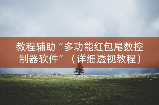 教程辅助“多功能红包尾数控制器软件”（详细透视教程）-哔哩哔哩