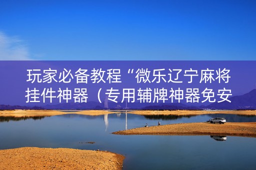 玩家必备教程“微乐辽宁麻将挂件神器（专用辅牌神器免安装）