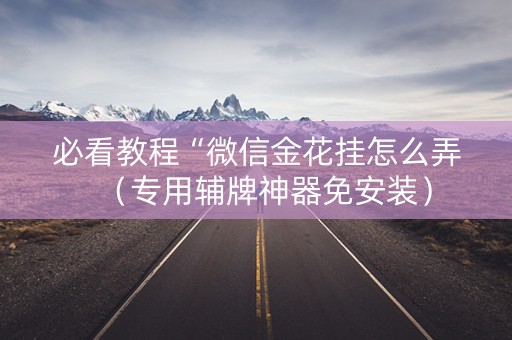 必看教程“微信金花挂怎么弄（专用辅牌神器免安装）