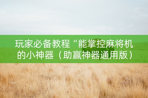 玩家必备教程“能掌控麻将机的小神器（助赢神器通用版）