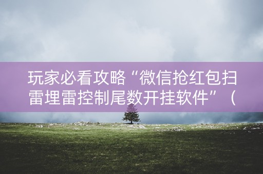 玩家必看攻略“微信抢红包扫雷埋雷控制尾数开挂软件”（详细透视教程）-哔哩哔哩