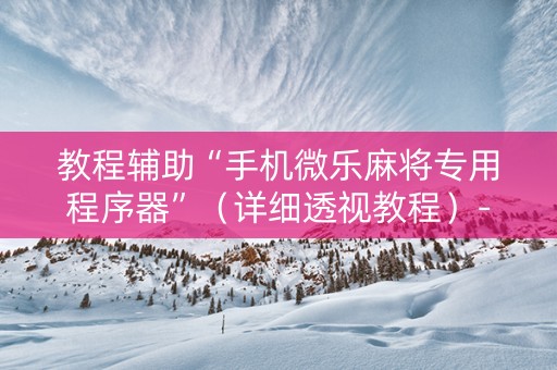 教程辅助“手机微乐麻将专用程序器”（详细透视教程）-哔哩哔哩