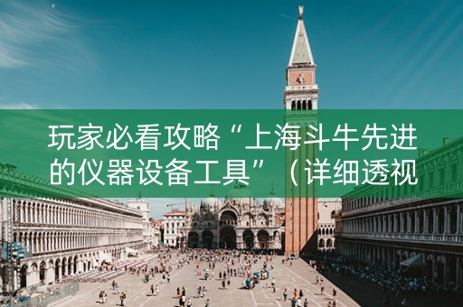 玩家必看攻略“上海斗牛先进的仪器设备工具”（详细透视教程）-哔哩哔哩