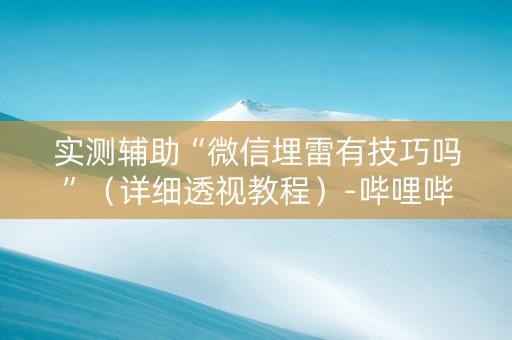 实测辅助“微信埋雷有技巧吗”（详细透视教程）-哔哩哔哩
