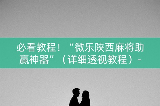 必看教程！“微乐陕西麻将助赢神器”（详细透视教程）-哔哩哔哩