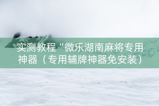 实测教程“微乐湖南麻将专用神器（专用辅牌神器免安装）