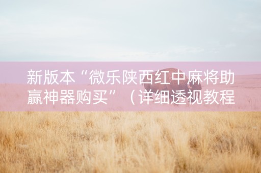 新版本“微乐陕西红中麻将助赢神器购买”（详细透视教程）-哔哩哔哩