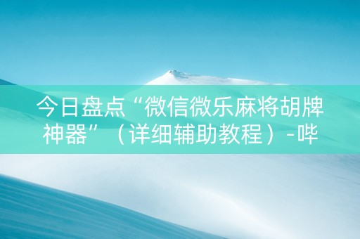 今日盘点“微信微乐麻将胡牌神器”（详细辅助教程）-哔哩哔哩