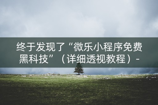 终于发现了“微乐小程序免费黑科技”（详细透视教程）-哔哩哔哩