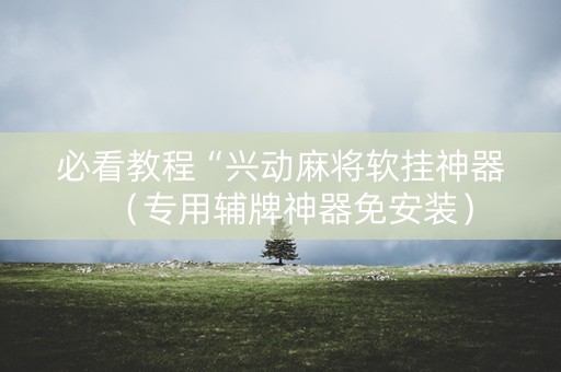 必看教程“兴动麻将软挂神器（专用辅牌神器免安装）