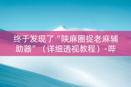 终于发现了“陕麻圈捉老麻辅助器”（详细透视教程）-哔哩哔哩