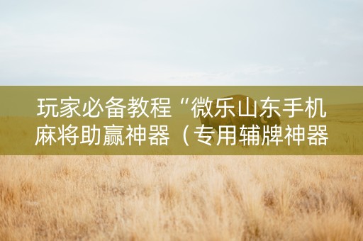 玩家必备教程“微乐山东手机麻将助赢神器（专用辅牌神器免安装）