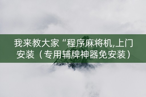 我来教大家“程序麻将机,上门安装（专用辅牌神器免安装）
