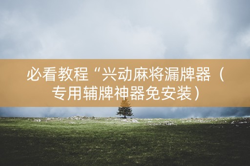 必看教程“兴动麻将漏牌器（专用辅牌神器免安装）