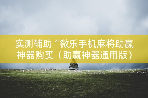 实测辅助“微乐手机麻将助赢神器购买（助赢神器通用版）
