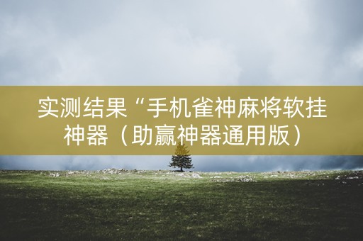 实测结果“手机雀神麻将软挂神器（助赢神器通用版）