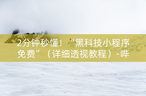 2分钟秒懂！“黑科技小程序免费”（详细透视教程）-哔哩哔哩