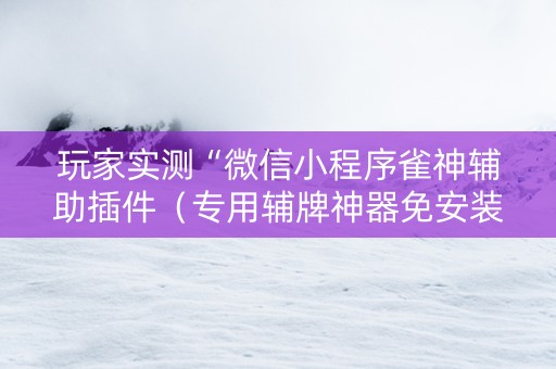 玩家实测“微信小程序雀神辅助插件（专用辅牌神器免安装）
