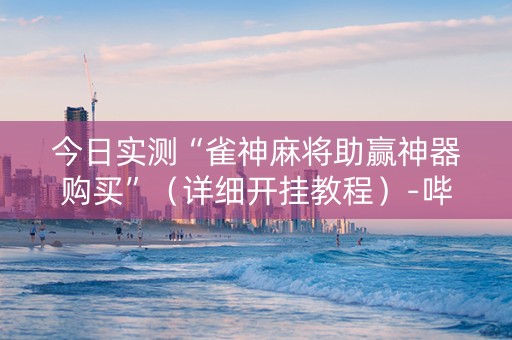 今日实测“雀神麻将助赢神器购买”（详细开挂教程）-哔哩哔哩