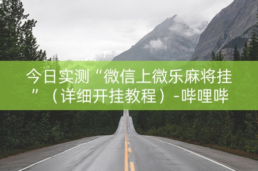 今日实测“微信上微乐麻将挂”（详细开挂教程）-哔哩哔哩