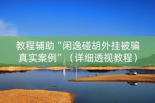 教程辅助“闲逸碰胡外挂被骗真实案例”（详细透视教程）-哔哩哔哩