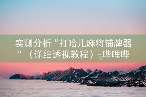 实测分析“打哈儿麻将铺牌器”（详细透视教程）-哔哩哔哩