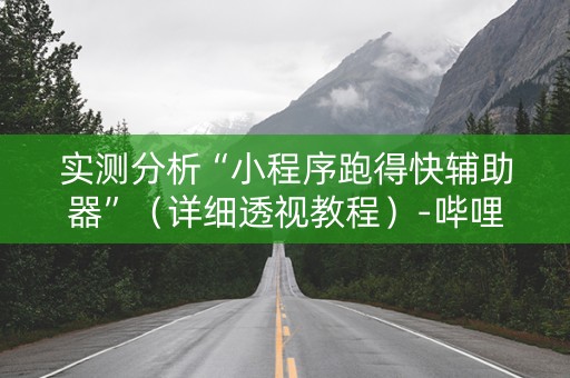 实测分析“小程序跑得快辅助器”（详细透视教程）-哔哩哔哩