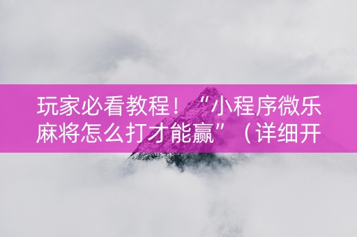 玩家必看教程！“小程序微乐麻将怎么打才能赢”（详细开挂教程）-哔哩哔哩