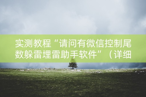 实测教程“请问有微信控制尾数躲雷埋雷助手软件”（详细透视教程）-哔哩哔哩