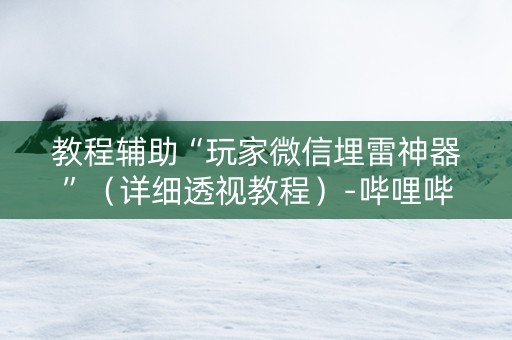 教程辅助“玩家微信埋雷神器”（详细透视教程）-哔哩哔哩