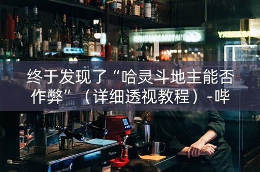 终于发现了“哈灵斗地主能否作弊”（详细透视教程）-哔哩哔哩