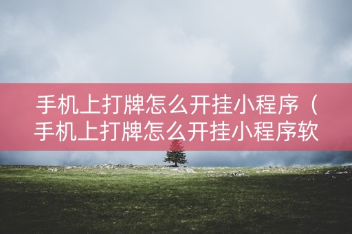 手机上打牌怎么开挂小程序（手机上打牌怎么开挂小程序软件）