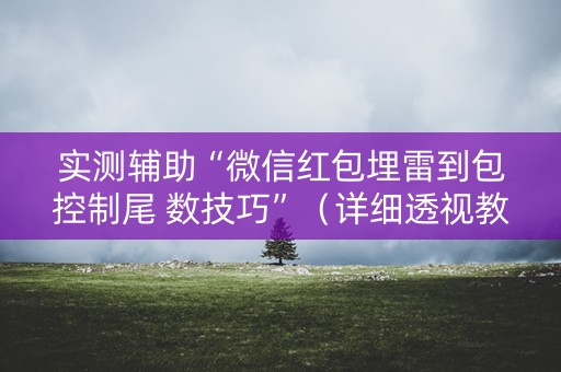 实测辅助“微信红包埋雷到包控制尾 数技巧”（详细透视教程）-哔哩哔哩