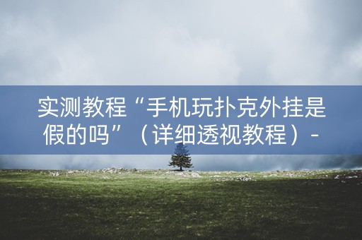 实测教程“手机玩扑克外挂是假的吗”（详细透视教程）-哔哩哔哩