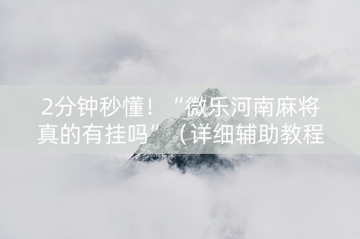 2分钟秒懂！“微乐河南麻将真的有挂吗”（详细辅助教程）-哔哩哔哩